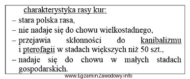 Którą rasę kur opisano w załączonej ramce?