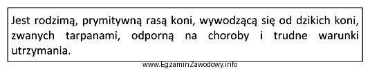 Której rasy koni dotyczy zamieszczony opis?