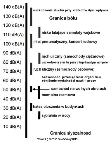 Bezsenność, przemęczenie organizmu, obniżenie wydajności nauki 