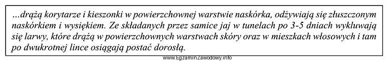 Przedstawiony opis charakteryzuje