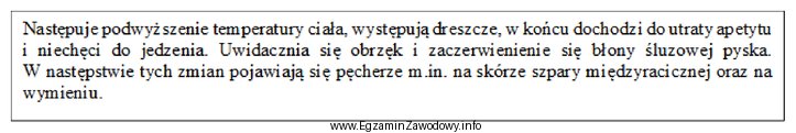 Przedstawiony opis wskazuje na