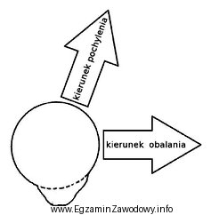 Na rysunku przedstawiono schemat pnia drzewa przeznaczonego do ścię