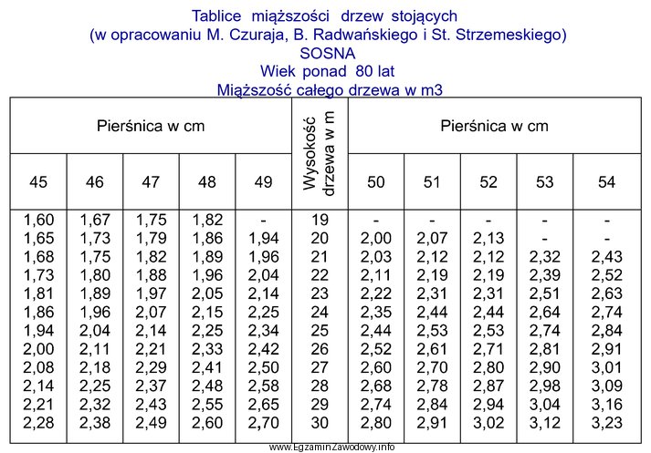 Miąższość całego drzewa 100 letniej sosny o 