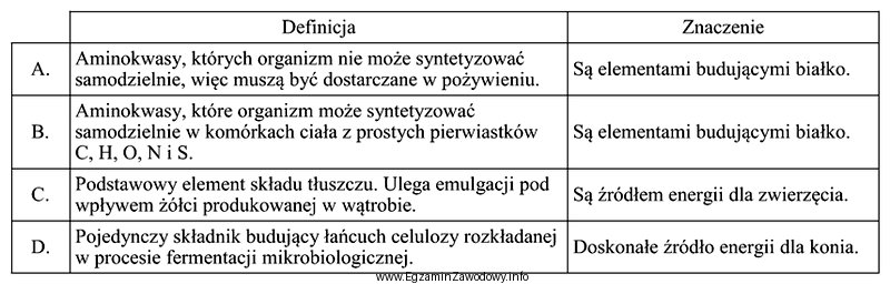 Wskaż definicję i znaczenie aminokwasów egzogennych.