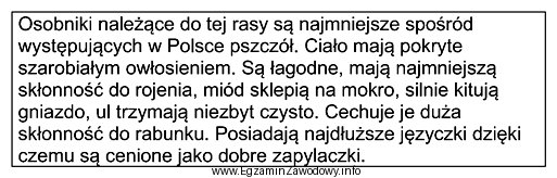 Której rasy pszczół dotyczy zamieszczony opis?