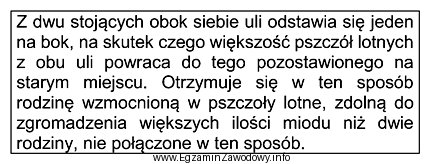 Którego zabiegu pasiecznego dotyczy opis?