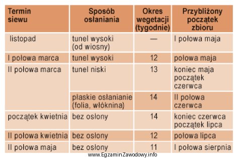 Na podstawie danych przedstawionych w tabeli wskaż, kiedy należy 