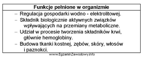 Która grupa składników pokarmowych pełni w 