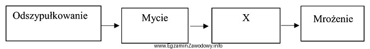 W przedstawionym schemacie produkcji truskawek mrożonych symbolem X jest 