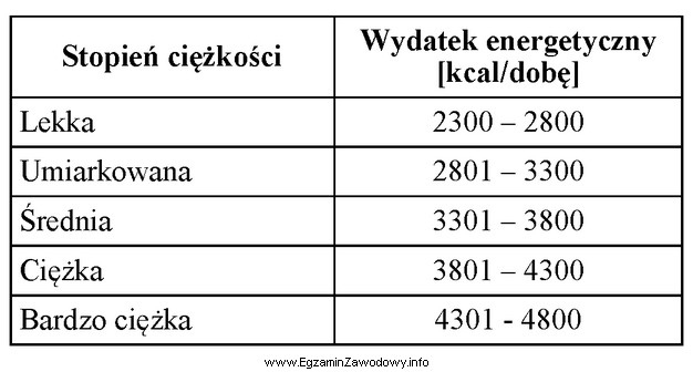 Klasyfikacja rodzajów pracy fizycznej według całkowitego dobowego 