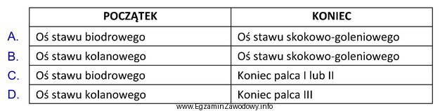 Prawidłowo wskazany początek i koniec podudzia, zgodnie z 14